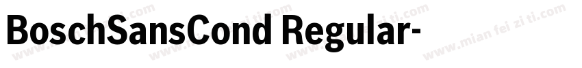 BoschSansCond Regular字体转换